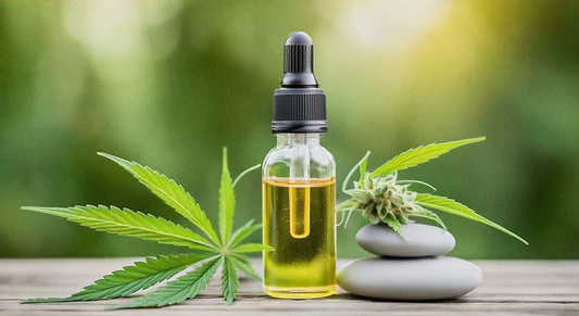 The Future of CBD: Trends, Predictions, and Potential