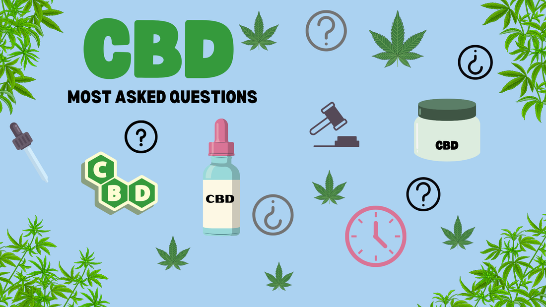 An infographic titled "Most Asked Questions About CBD" featuring a stylized cannabis leaf icon. The image likely contains text boxes or bullet points listing common questions about CBD, presented in a visually appealing and easy-to-read format. 